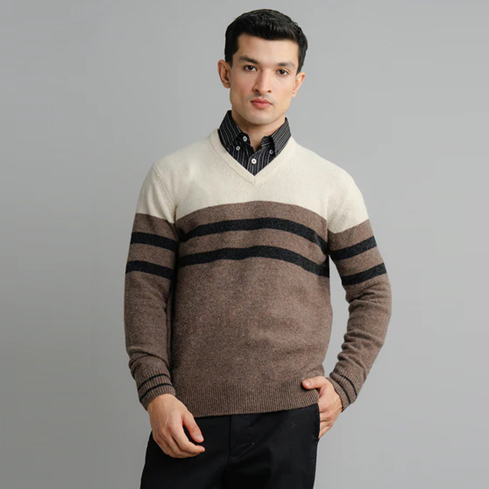 V Neck Formal Sweater